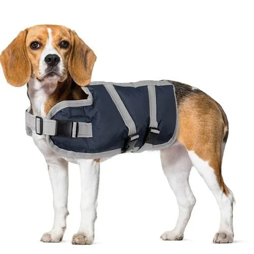 DATS - 45cm Dog Vest
