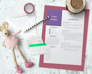 Easy Resumes, CV Templates