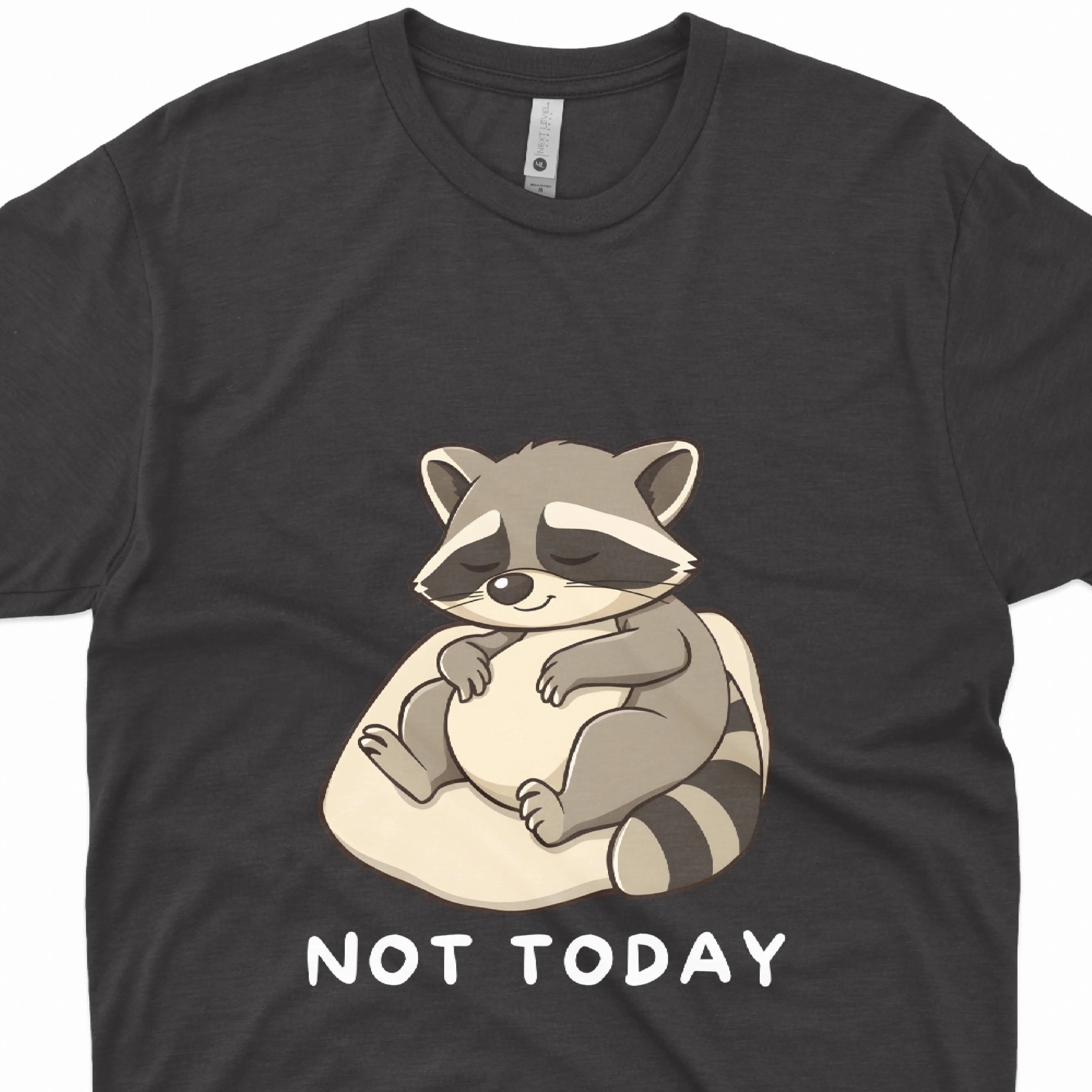 Lazy Raccoon T-Shirt