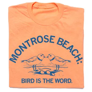 Montrose Beach: Bird is the Word