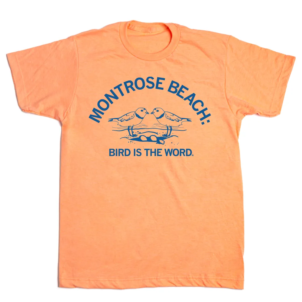 Montrose Beach: Bird is the Word