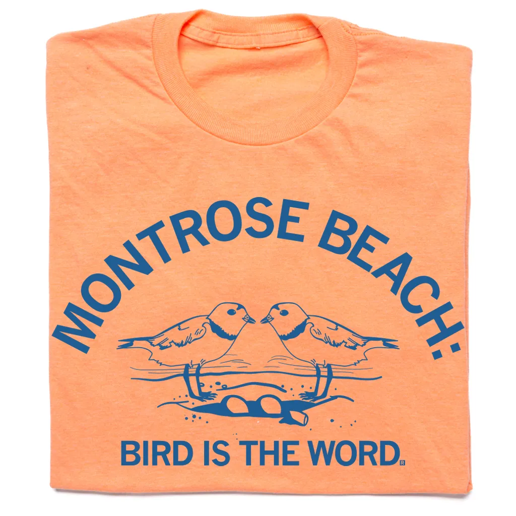 Montrose Beach: Bird is the Word