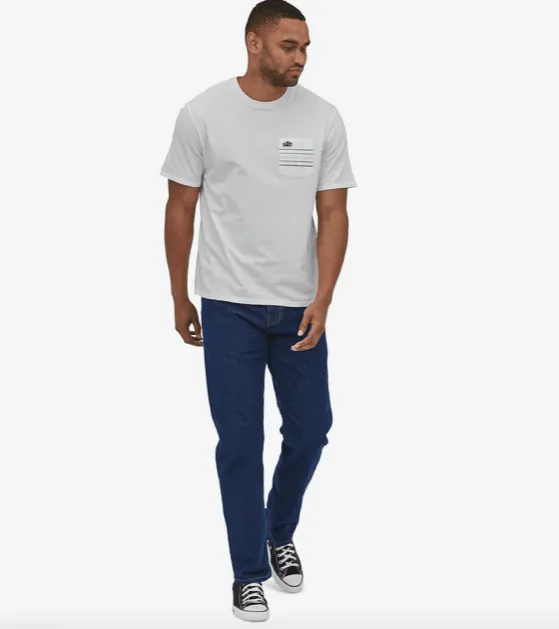 Patagonia Line Logo Ridge Stripe Organic Pocket T-Shirt White