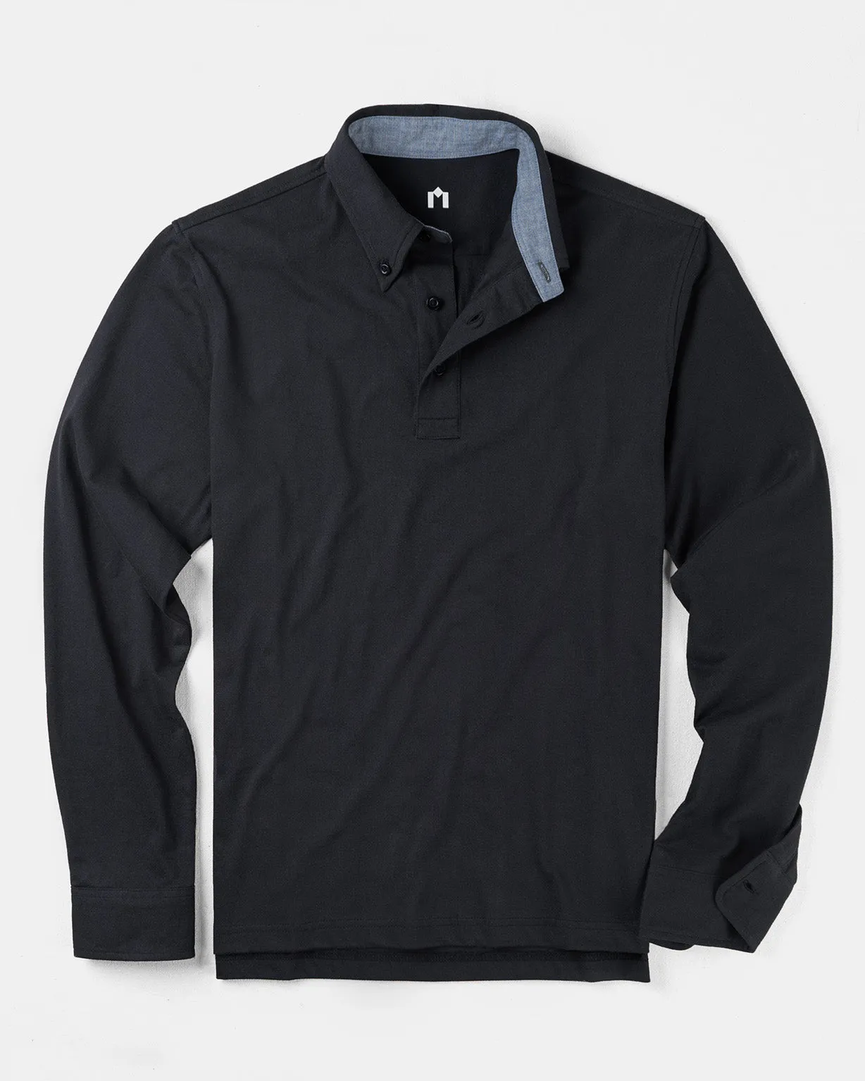 Rio in Button Down Collar