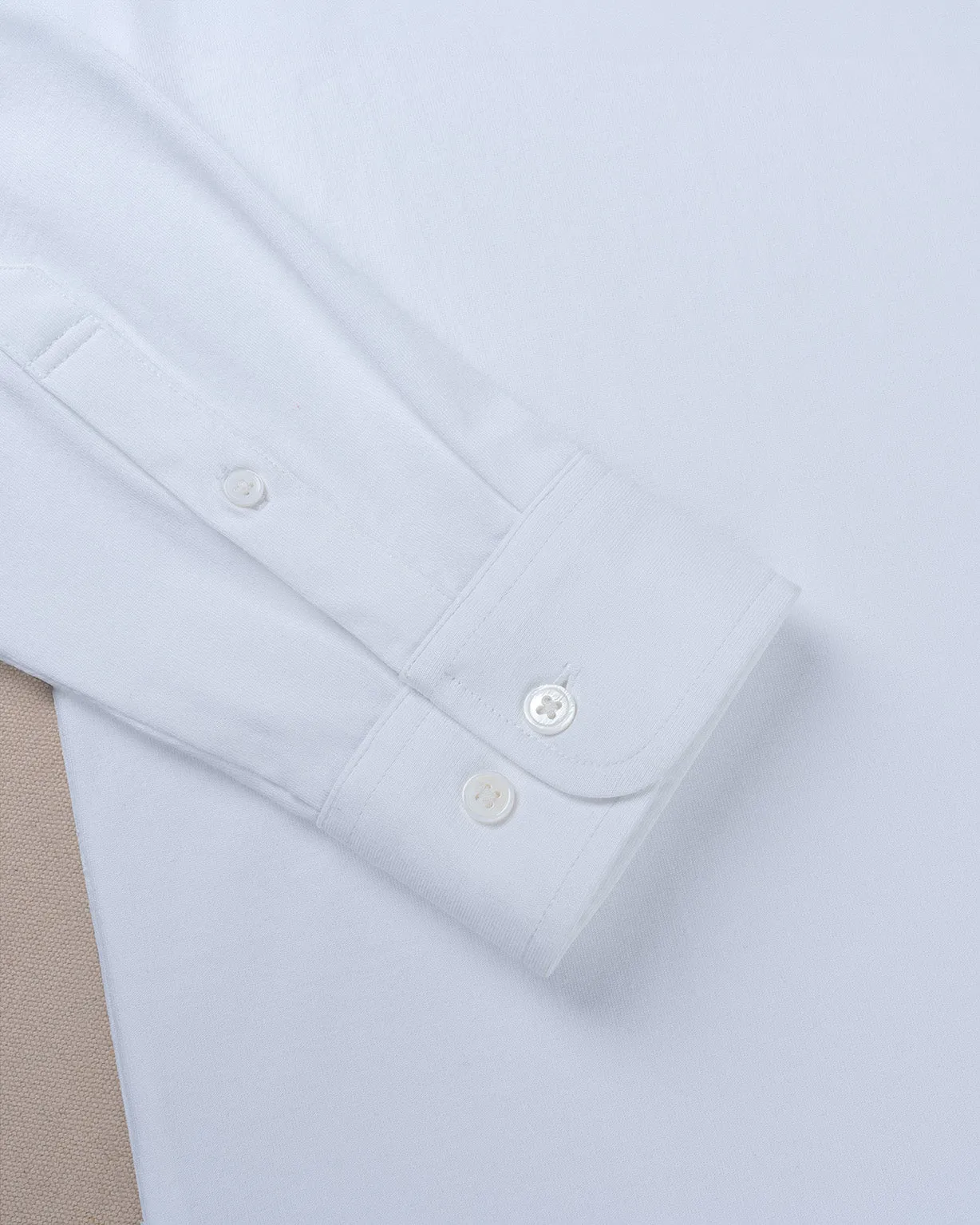 Rio in Button Down Collar