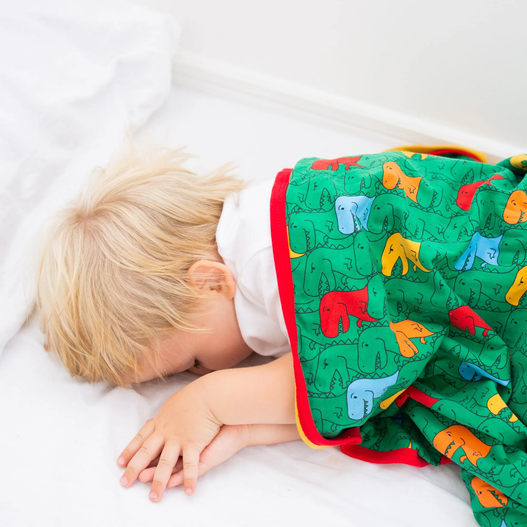 Totally T-Rex XXL Blanket