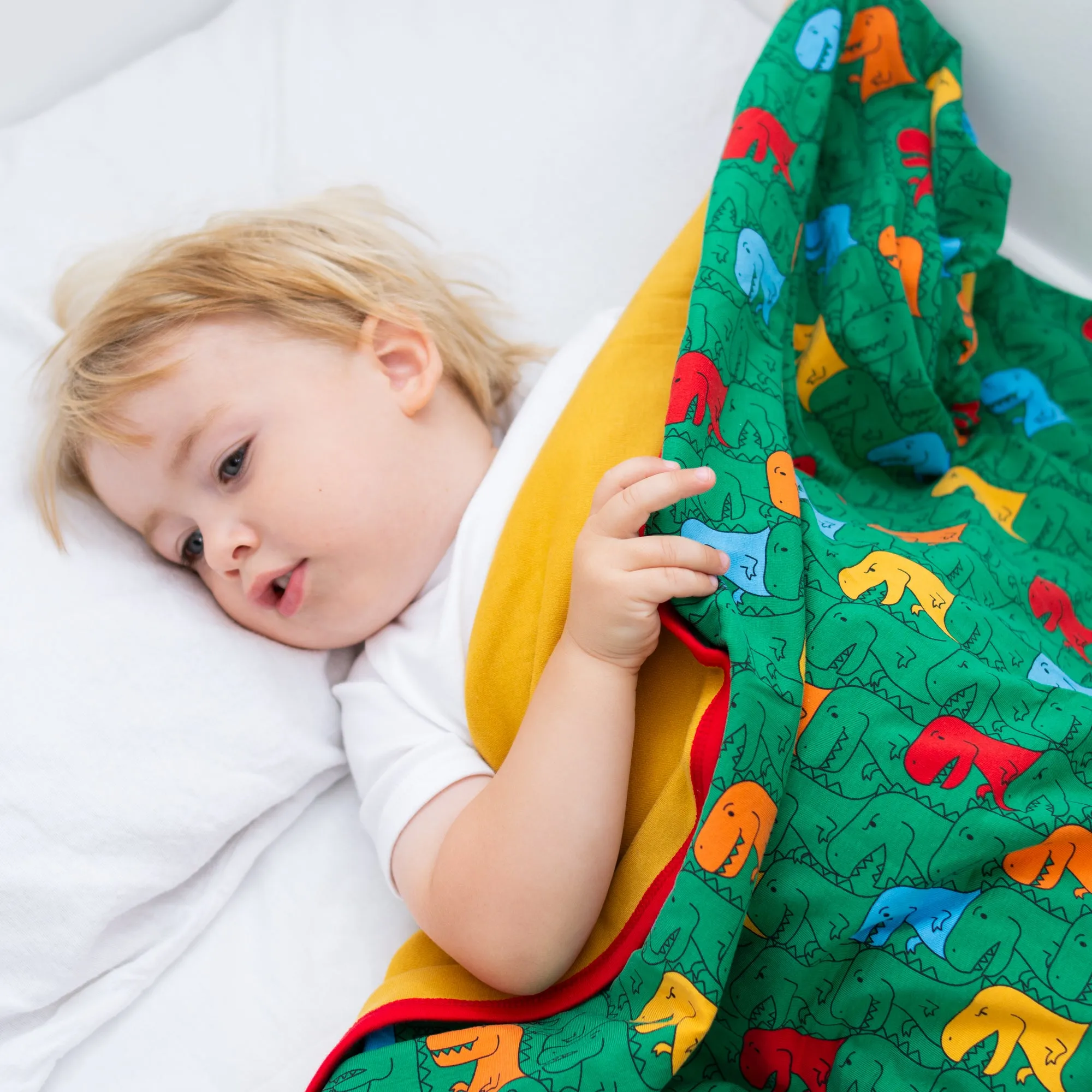 Totally T-Rex XXL Blanket