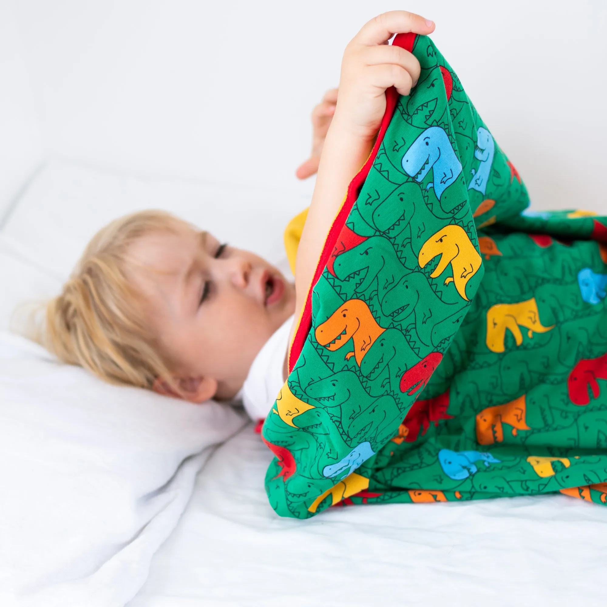 Totally T-Rex XXL Blanket