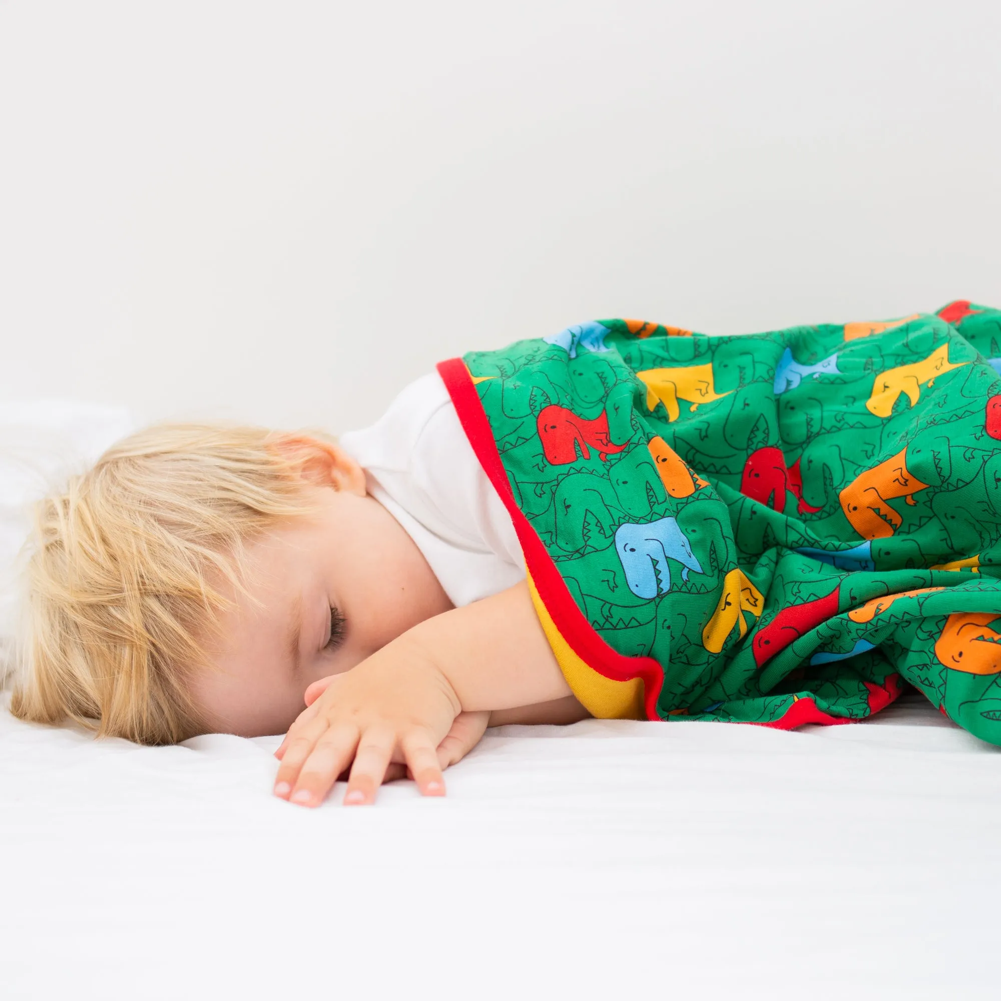 Totally T-Rex XXL Blanket
