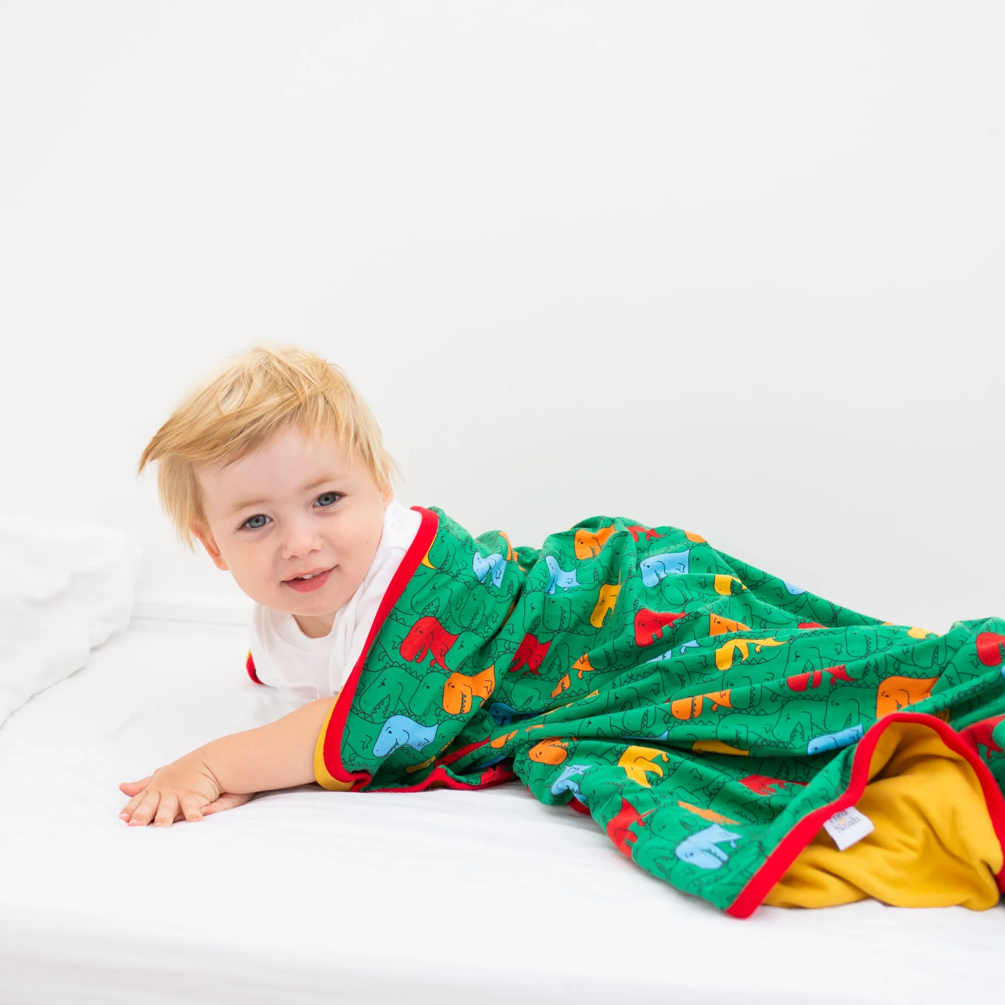 Totally T-Rex XXL Blanket