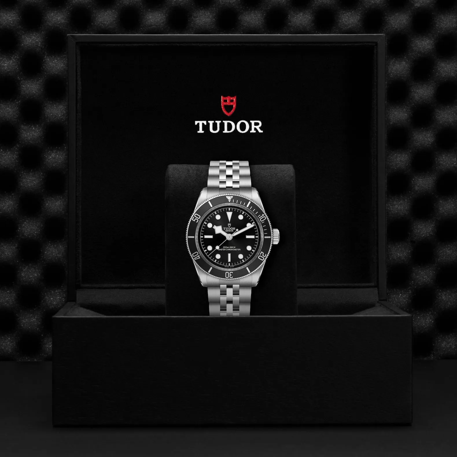 TUDOR Black Bay 41mm Steel